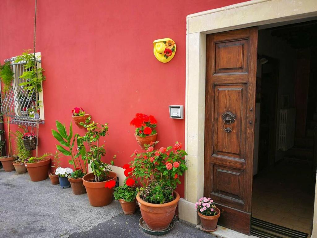a bunch of potted plants in front of a red building at One bedroom appartement with jacuzzi and wifi at Sant'Ippolito in SantʼIppolito