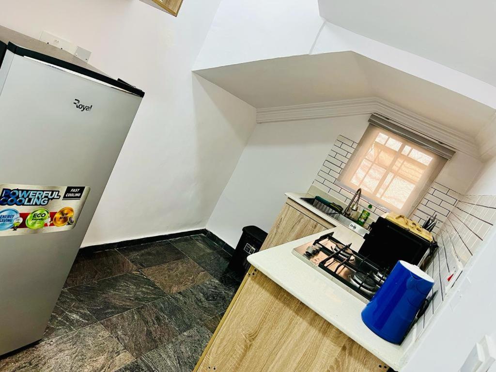a small kitchen with a refrigerator and a sink at Diaggello Homex Apartment in Lekki