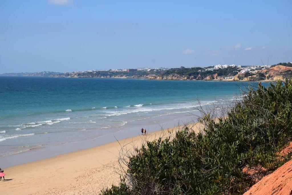 una playa con gente caminando por la arena y el océano en One bedroom appartement with shared pool terrace and wifi at Albufeira 4 km away from the beach en Albufeira