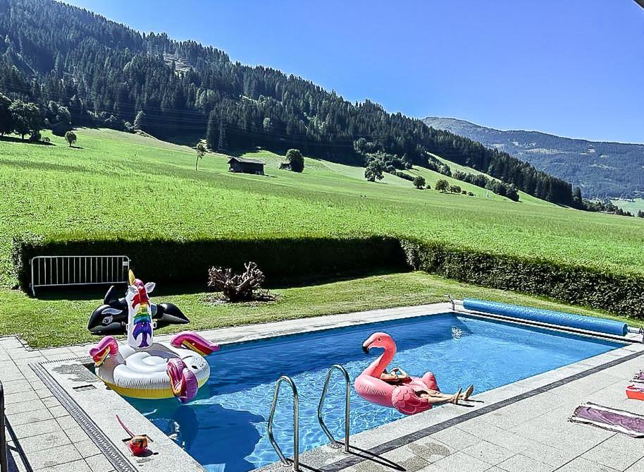 a swimming pool with swans and flamingos in a field at B&B at Kreativhaus Tirol in Weerberg