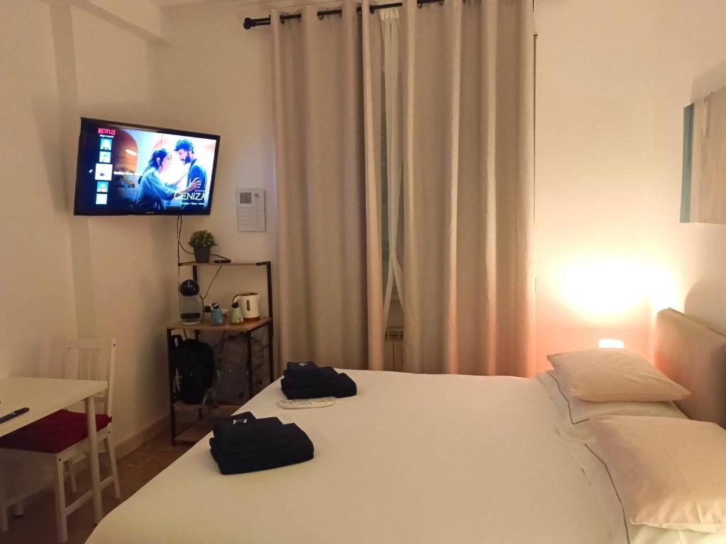 ローマにあるRose Antiche Vatican B&Bのベッド1台、薄型テレビが備わるホテルルームです。