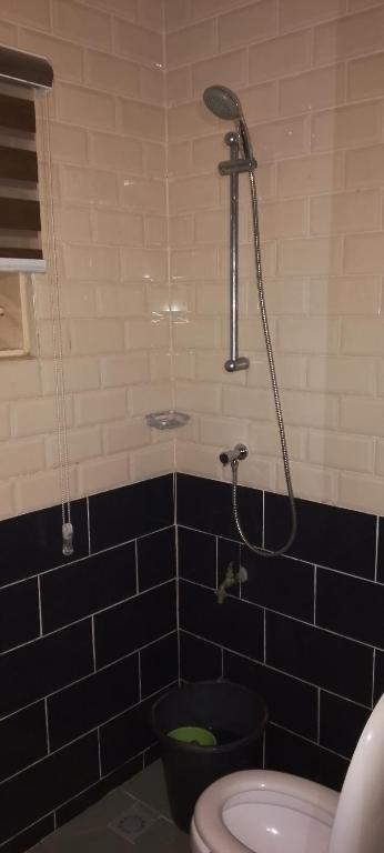 een badkamer met een douche en een toilet bij Guest bidossessi in Abomey-Calavi