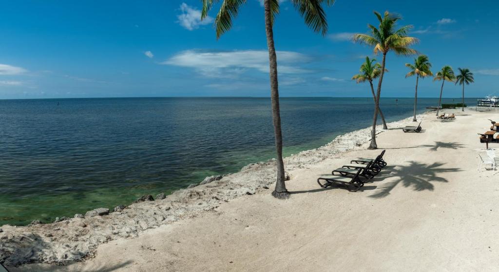 Caloosa Cove Resort by CoolVacay photo