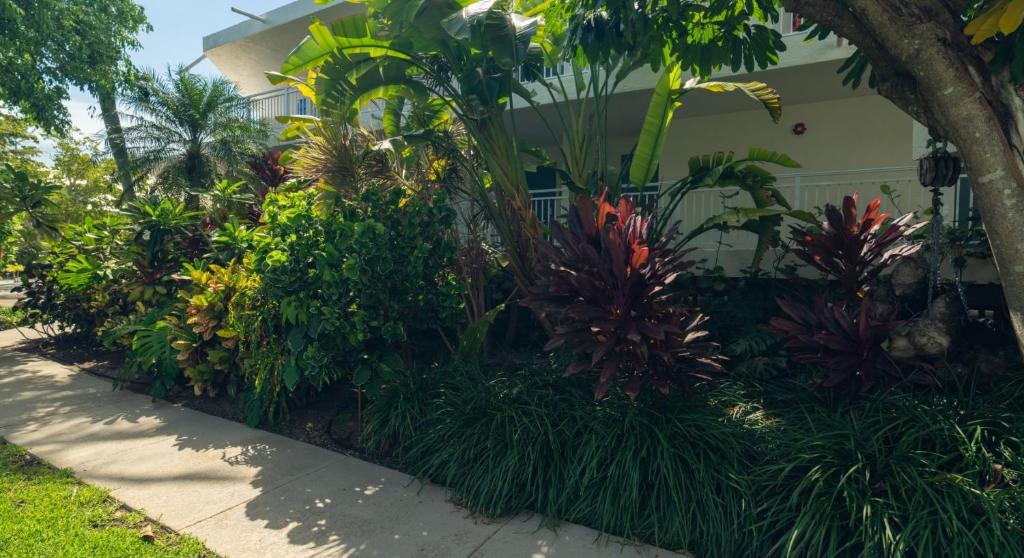 Caloosa Cove Resort by CoolVacay photo