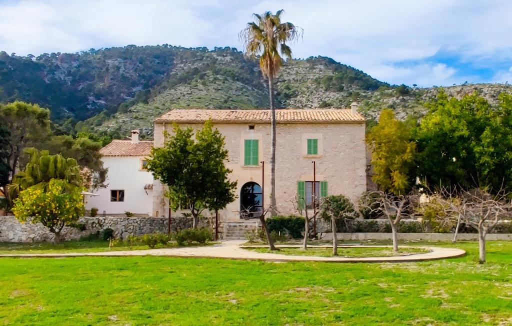 a house with a palm tree in front of a mountain at Agroturisme Subies in Selva