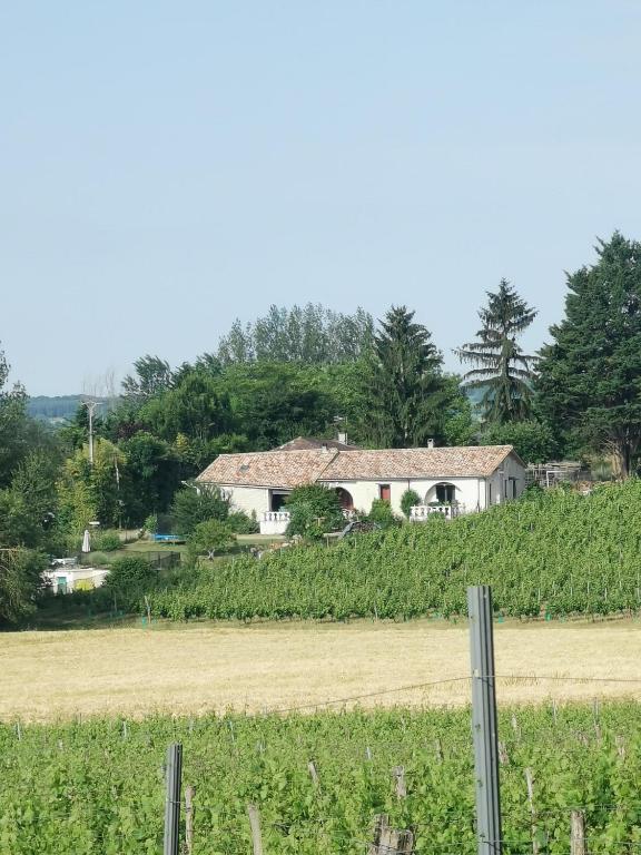 Aux vignes d’Arnaud