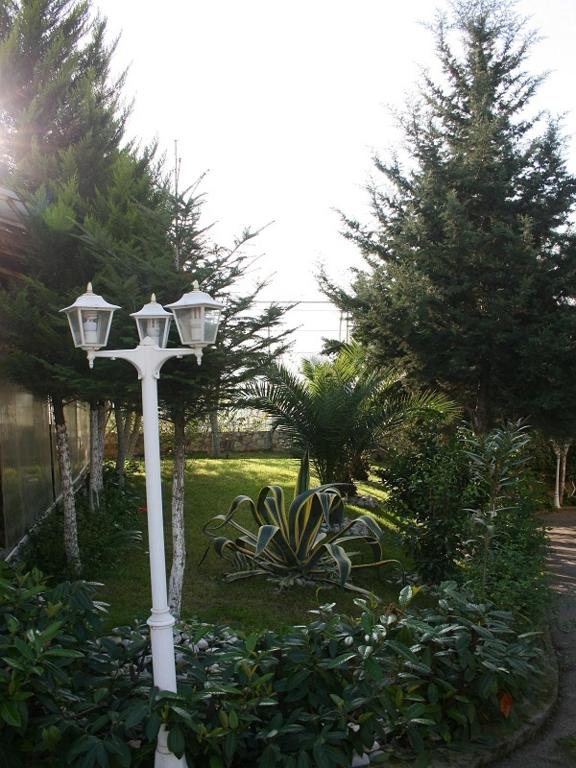 Zahrada ubytování Hotel Baron