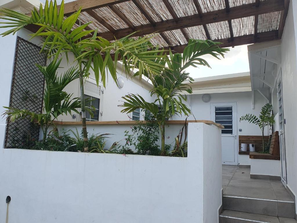 d'une terrasse avec des palmiers sur le côté d'une maison. dans l'établissement Studio pour jusqu'à 4 personnes proche de l'hôpital et du centre ville, à Saint-Denis