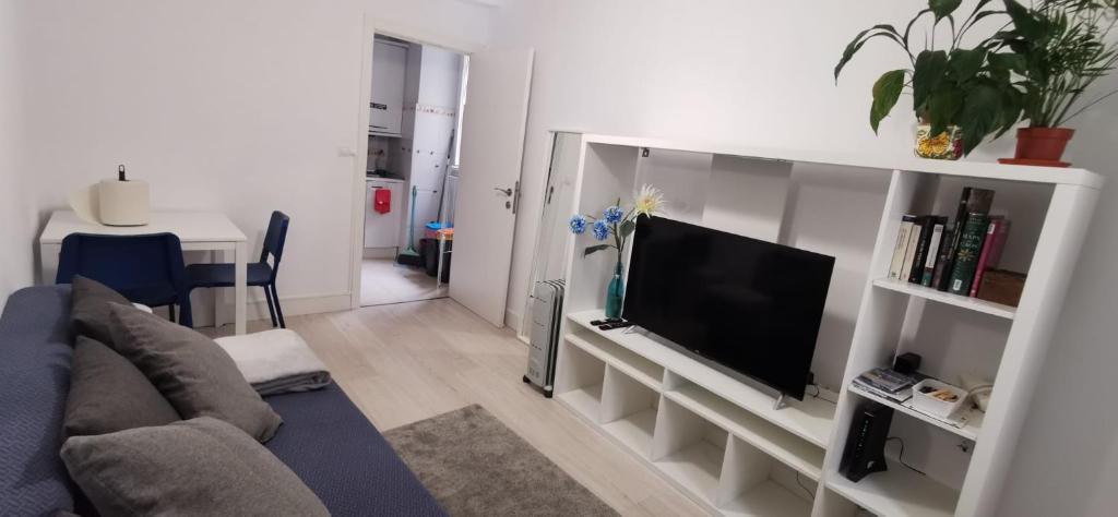 ein Wohnzimmer mit einem Sofa und einem Flachbild-TV in der Unterkunft Casa Eguino Pet-Friendly in San Sebastián