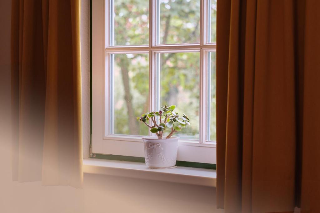 Hotel Am Steendamm - Chambre Double Ou Lits Jumeaux