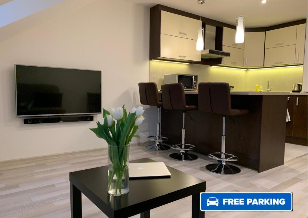 TV a/nebo společenská místnost v ubytování Apartmán Amici