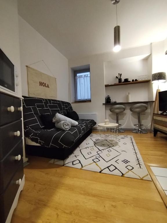 - un salon avec un canapé noir et un tapis dans l'établissement petit coin charmant de Toulouse, à Toulouse