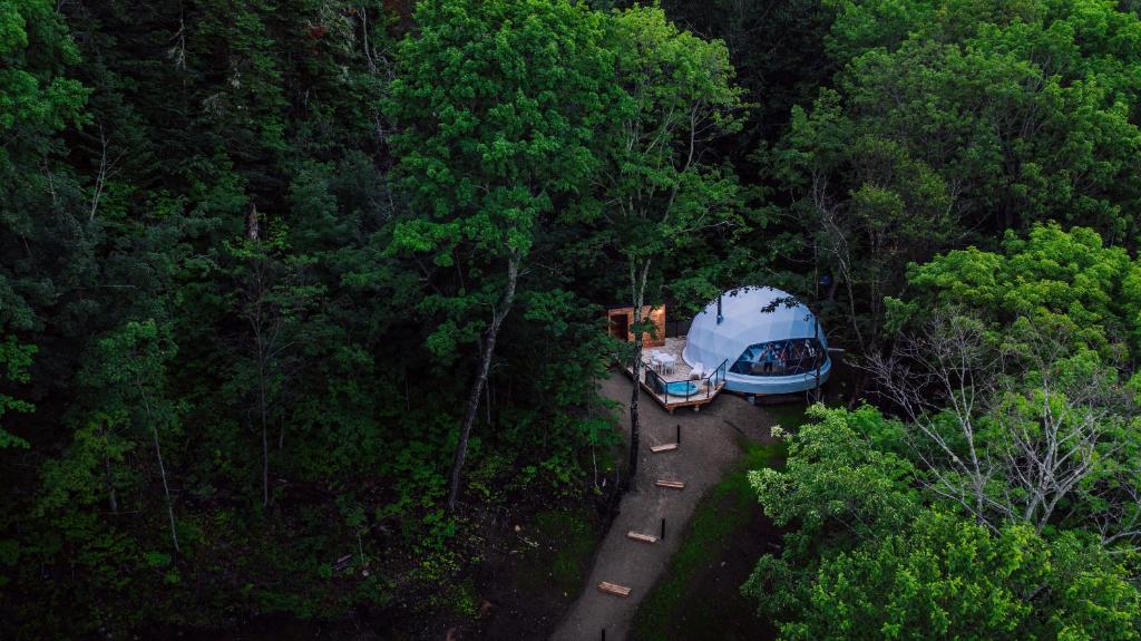 an aerial view of two cars parked in a forest at Dômes Charlevoix in Petite-Rivière-Saint-François