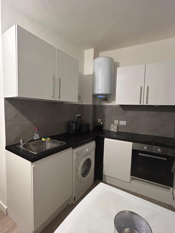 eine Küche mit einer Spüle und einer Waschmaschine in der Unterkunft Spacious Studio Flat in London in London