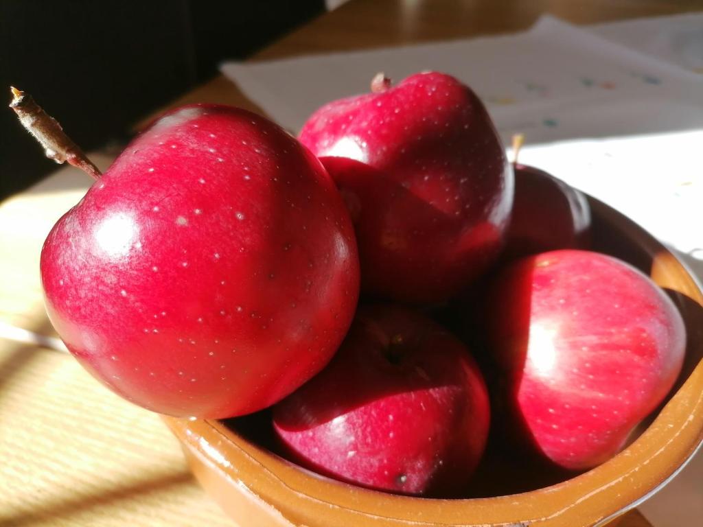 a bowl of red apples sitting on a table at Landhaus Berthold in Bürserberg