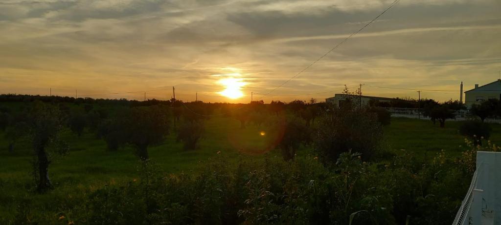 a sunset in a field with the sun setting at Snow Guest House in Santarém