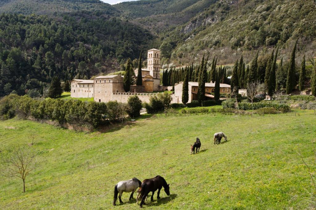 vier paarden die grazen in een veld voor een kasteel bij Abbazia San Pietro In Valle in Ferentillo