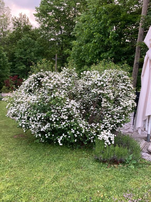 Villa Lykos Plitvice - 9