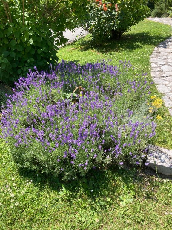 Villa Lykos Plitvice - 10