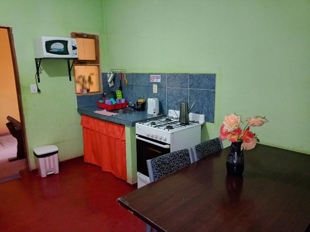 Kuchyň nebo kuchyňský kout v ubytování Hostal Benjamin