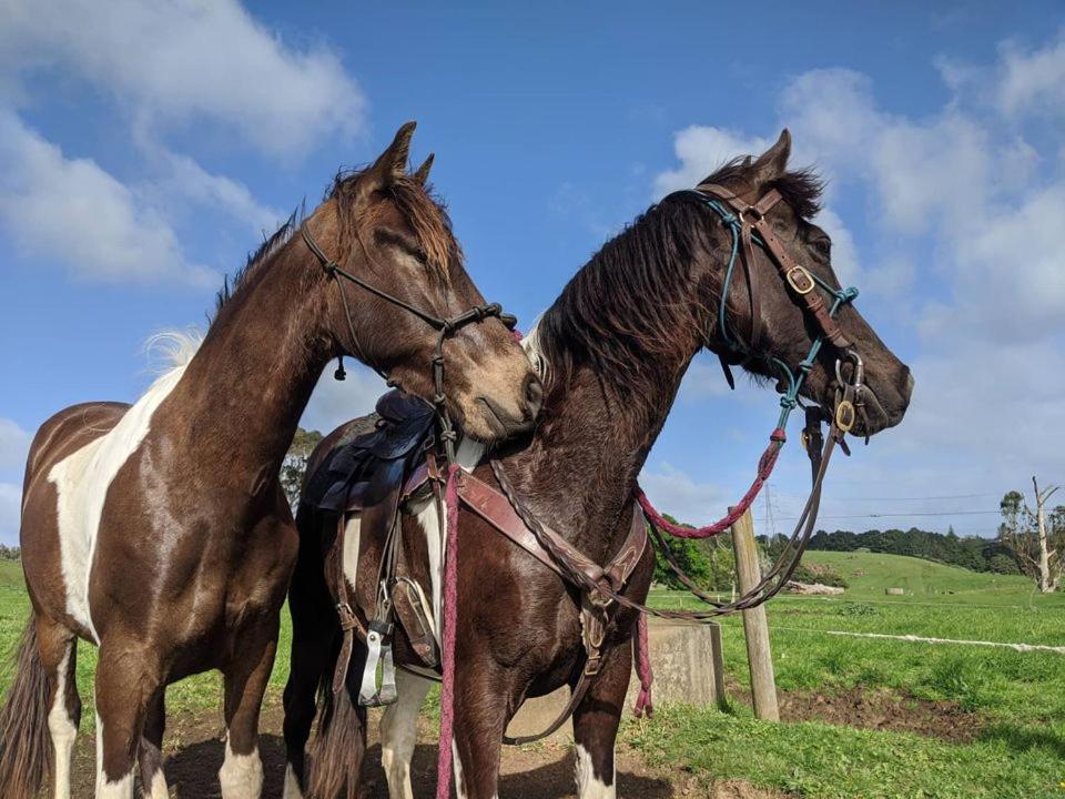 Sherwood Ranch Cottages - 403 Woodbank Road - Resim 16
