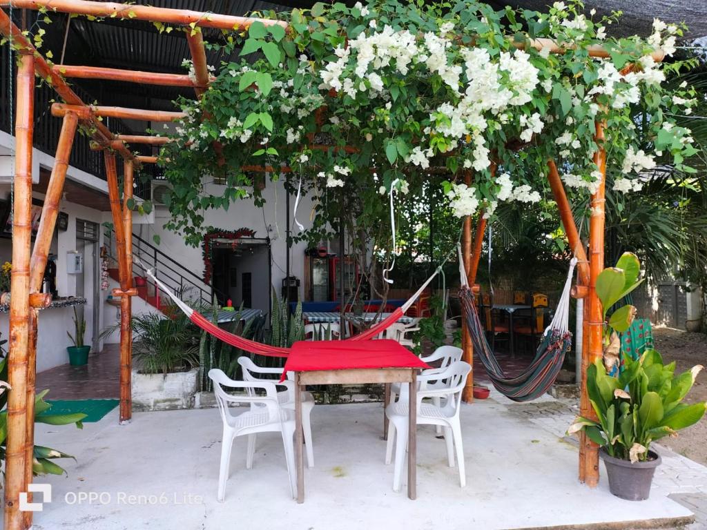 Zahrada ubytování HOSTAL SARITA