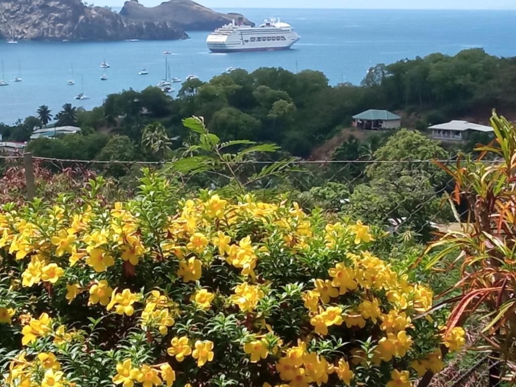 CHEZ ALIZHIA, Nuku Hiva — hébergement à Nuku Hiva