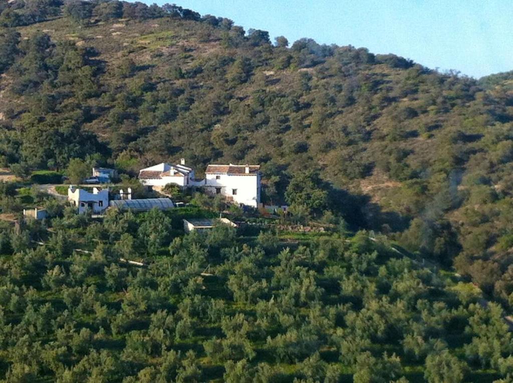 een huis aan de zijkant van een berg bij 6 bedrooms house with shared pool jacuzzi and wifi at Montefrio in Montefrío