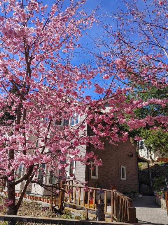 a tree with pink flowers in front of a house at Chingjing New Paradise B&B in Renai