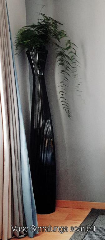 Fotografie z fotogalerie ubytování Studio Non Fumeur 38m2 calme, confort, ascenseur v destinaci Béziers