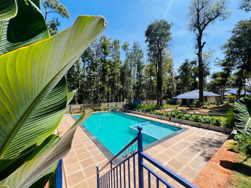 an image of a swimming pool with a large green leaf at Shree Kalya Resort- Chikmagalur in Chikmagalūr