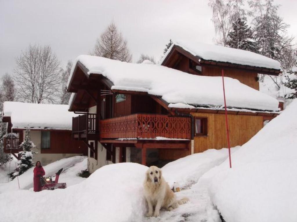 un chien assis dans la neige devant une maison dans l'établissement Beau chalet au départ des pistes - Chalet 6 pièces 12 personnes MAE-4869, à Aime La Plagne