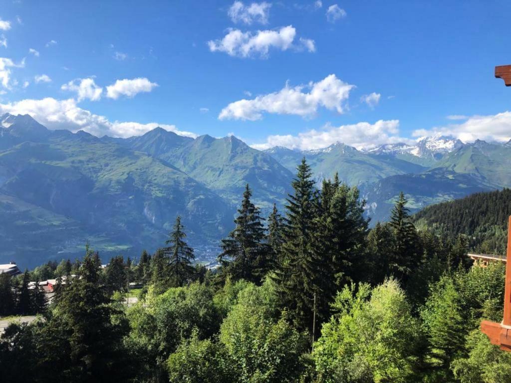 Príroda v okolí apartmánu