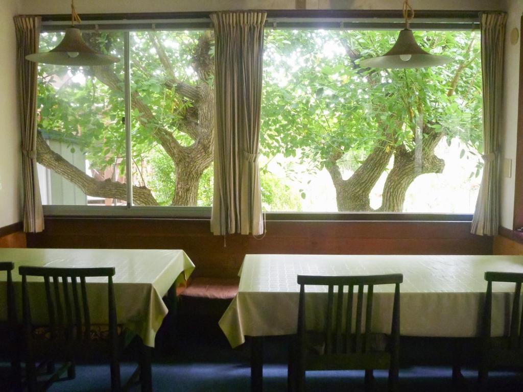 Zahrada ubytování Pension Flora