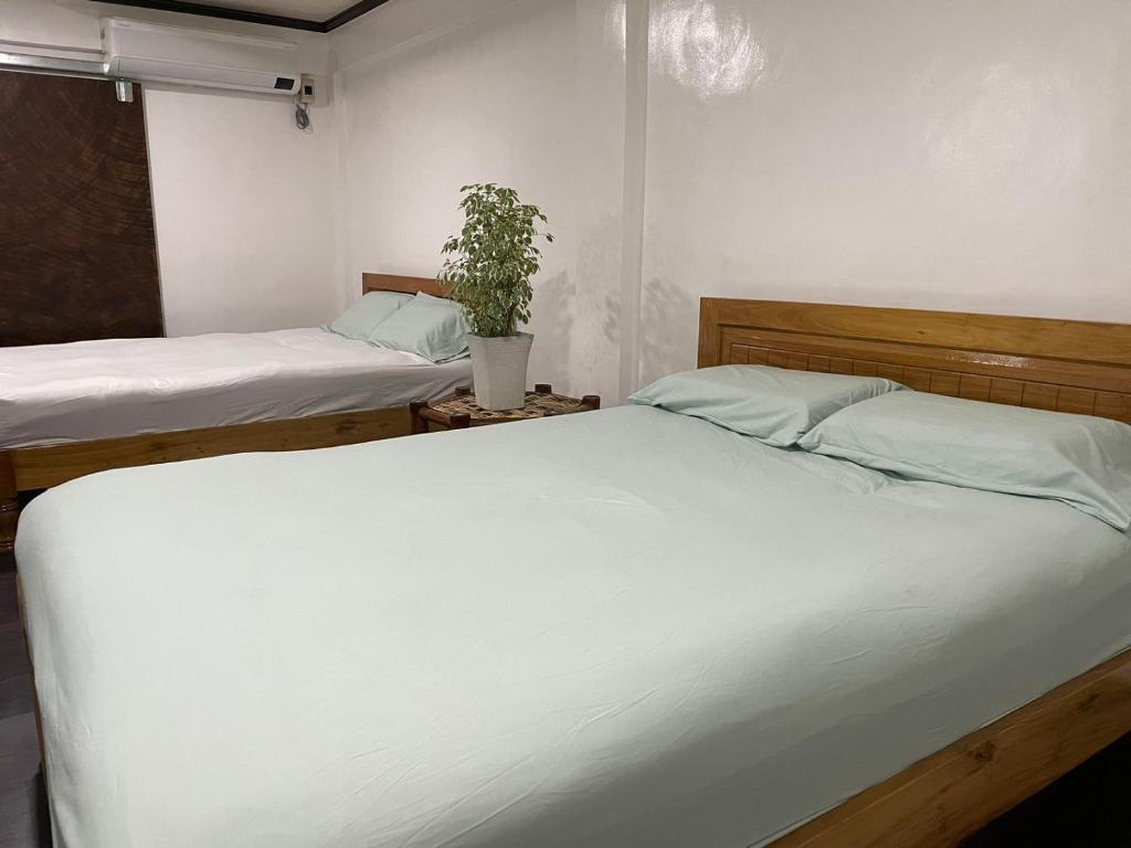 ein Schlafzimmer mit 2 Betten und einer Topfpflanze in der Unterkunft Tabskie’s Homestay in Catarman