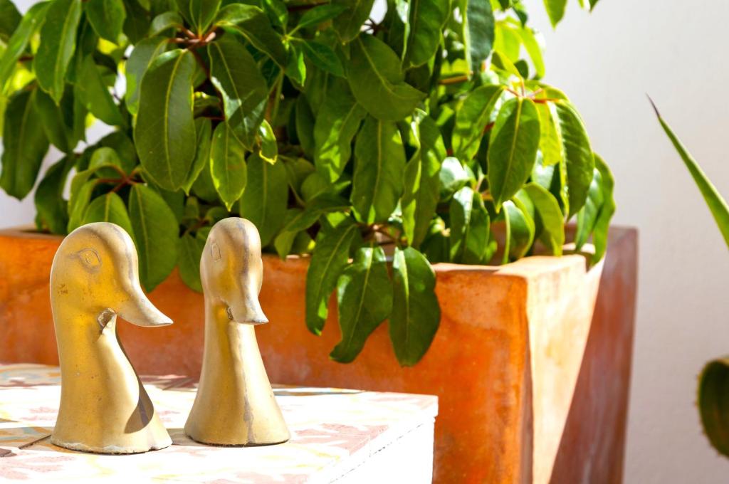 two rubber ducks sitting on a table next to a potted plant at Vejerísimo Casa Boutique in Vejer de la Frontera