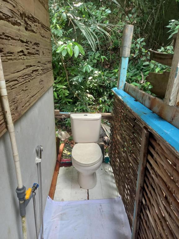 a toilet sitting in the outside of a building at Sumatra Ecolodge in Sungaipisang