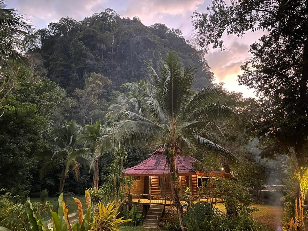 a house with a palm tree in front of a mountain at Khaosok Monkeys & River Camps in Khao Sok National Park