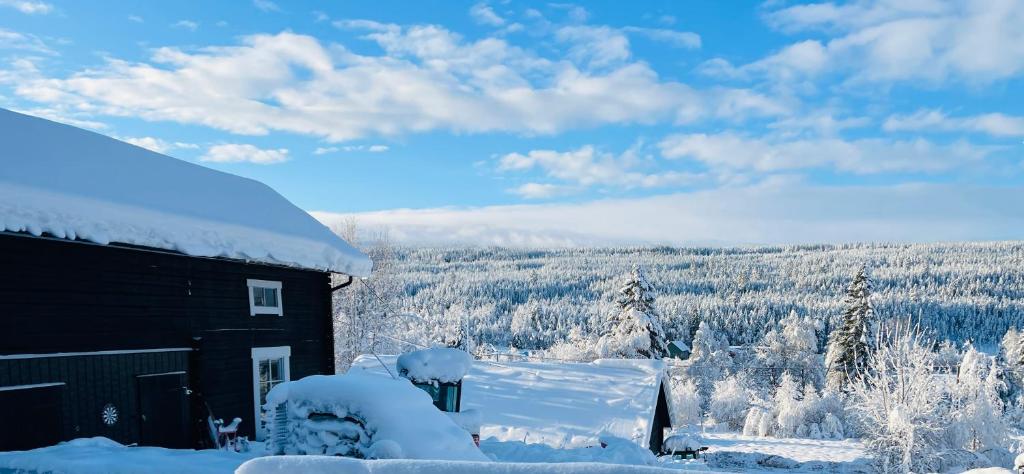 a snow covered cabin with a view of the forest at Lillstugan Sälen by in Sälen