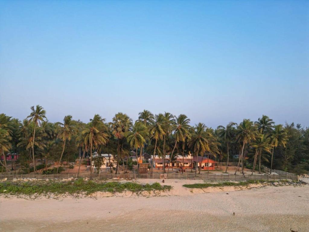 a group of palm trees on the beach at Surfside Haven By JadeCaps 1BHK By Udupi Beach in Kōtatattu
