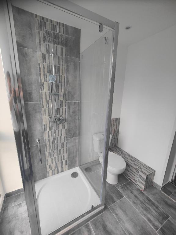 Maison 5 chambres proche Basel Germany – photo 33