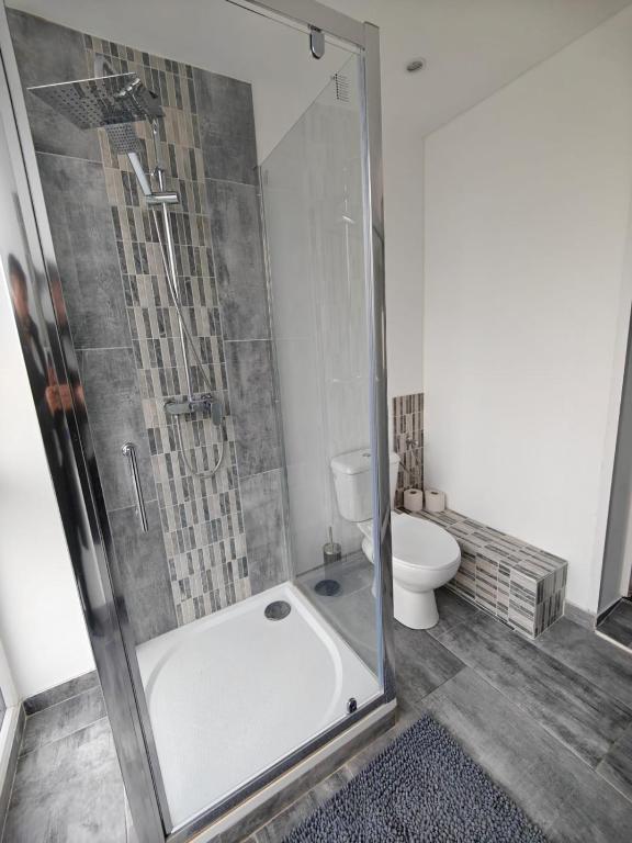 Maison 5 chambres proche Basel Germany – photo 32