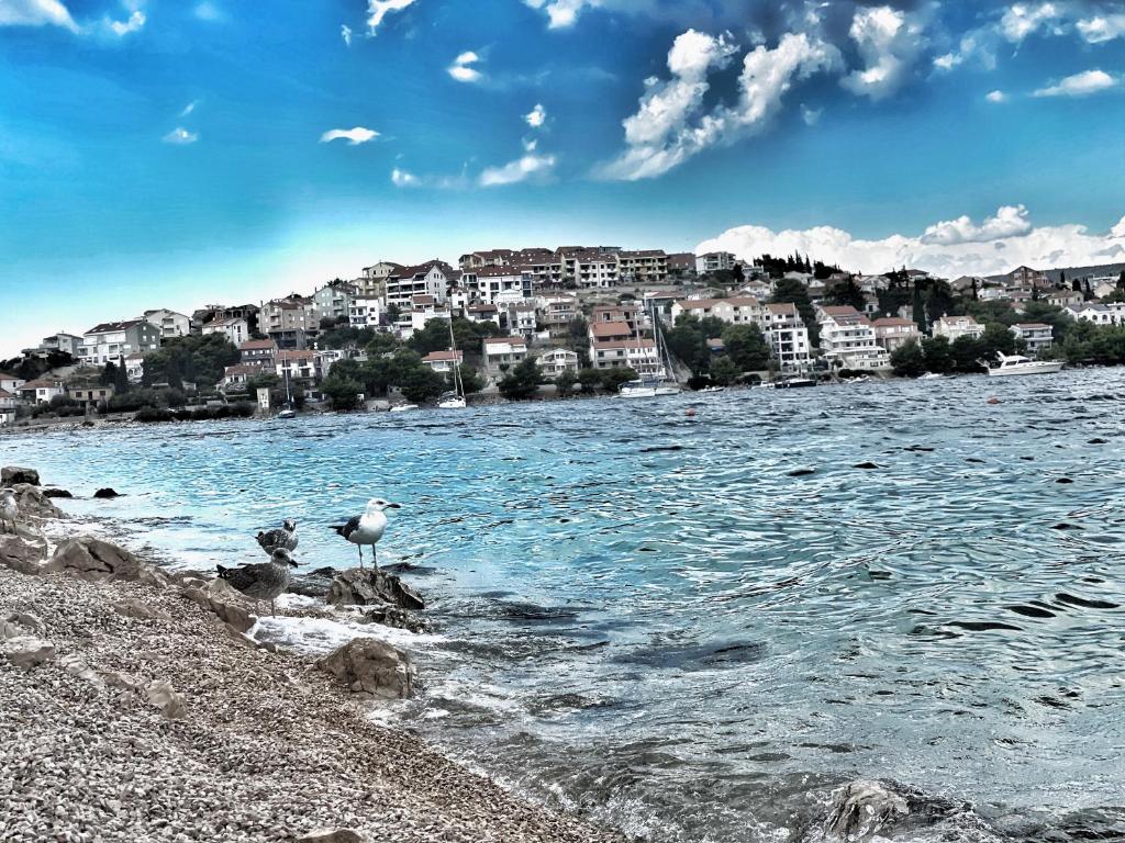 Príroda v okolí apartmánu