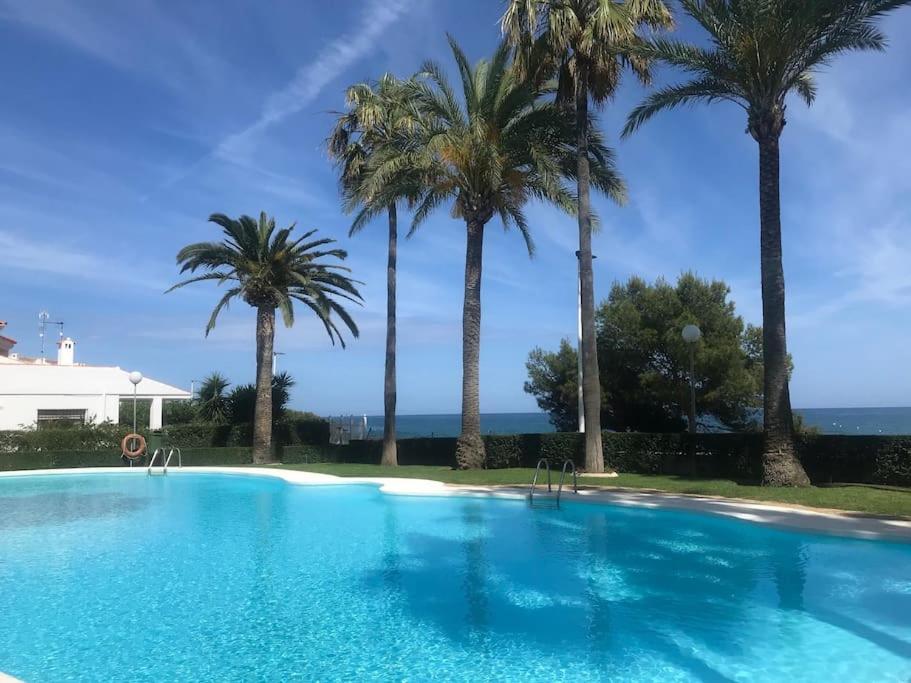 una piscina con palmeras y el océano en Casablanca REA-CSB102, en Alcossebre