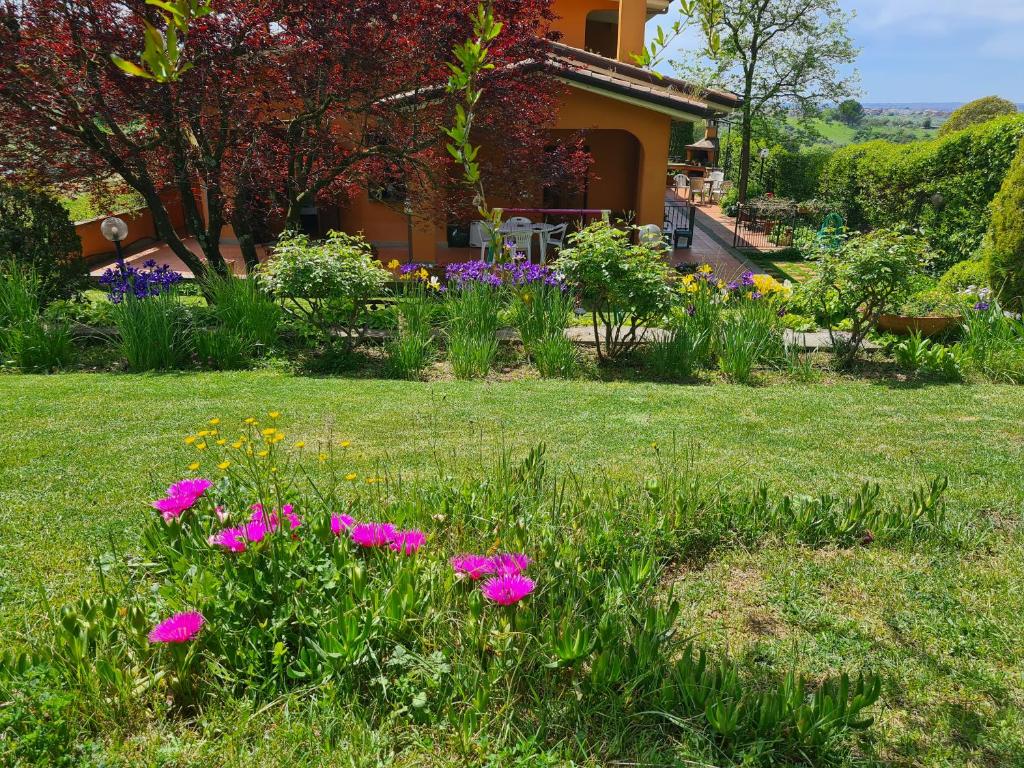 a garden with pink flowers in the grass at Il parco holiday 2 L.T. in Fonte Nuova