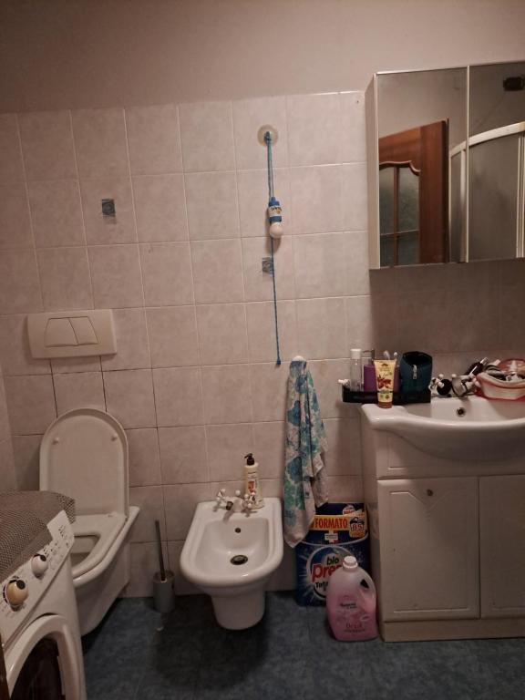 Baño pequeño con lavabo y aseo en Appartamento vacanze low cost tra lago idro e ledro, en Storo