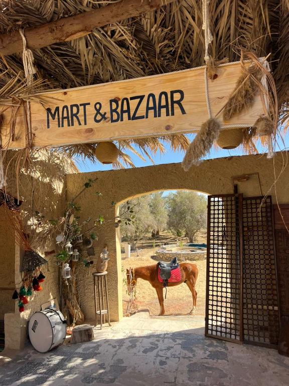 Fotografie z fotogalerie ubytování Aghurmi Siwa Ecolodge & Salt Cave v destinaci Siwa