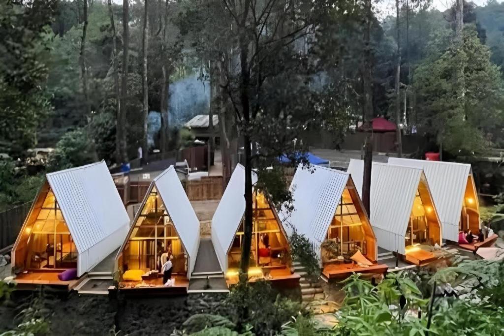 un gruppo di rifugi in una foresta con persone all'interno di Luxury cabin and cafe hutan pinus rahong a Palayangan