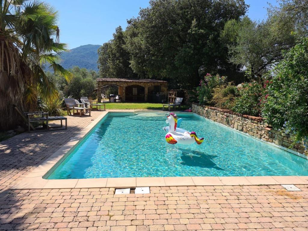 een zwembad met twee rubberen eenden in het water bij MAISON DE CARACTERE AVEC PISCINE in Sartène