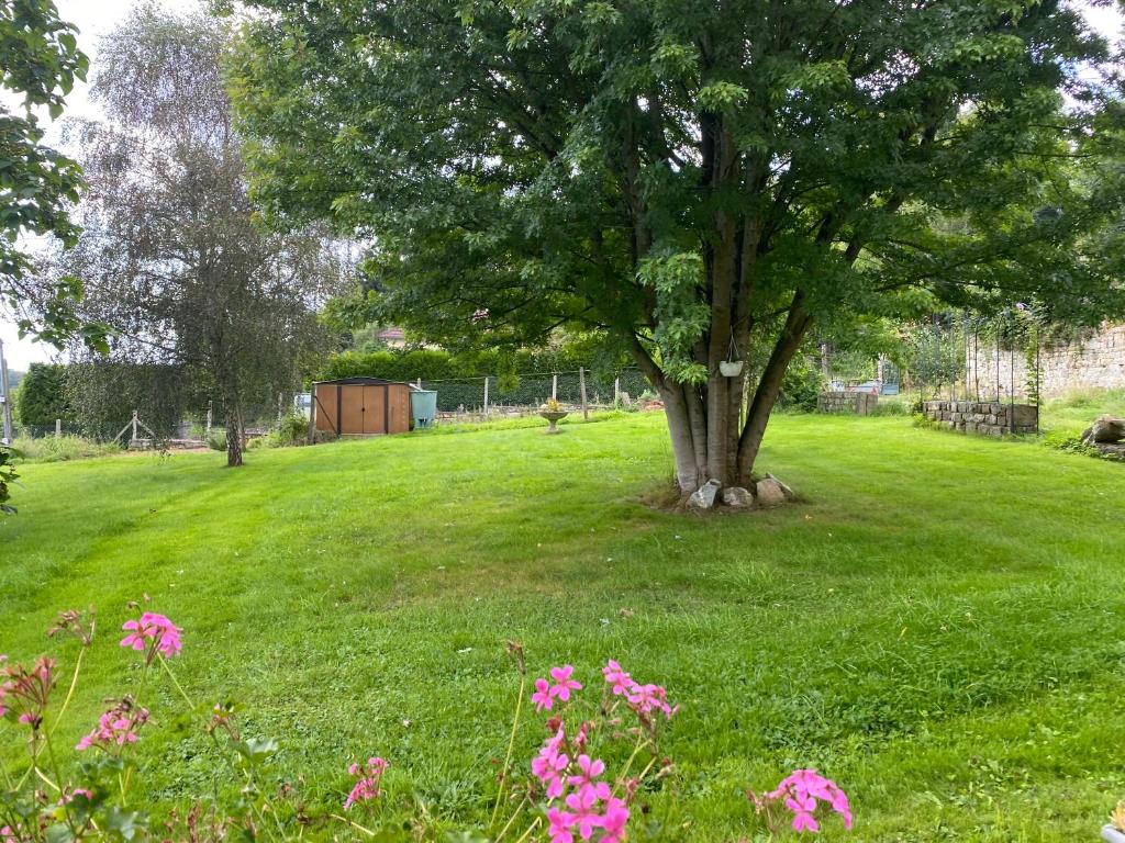 un árbol en medio de un campo con flores rosas en Route du Mont-Saint-Michel, en Mortain